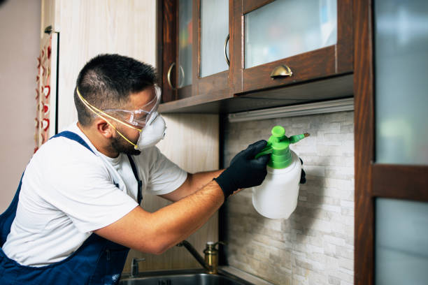 Best Pest Control for Homes  in Pleasureville, PA