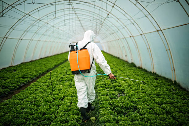 Pest Prevention Services in Pleasureville, PA