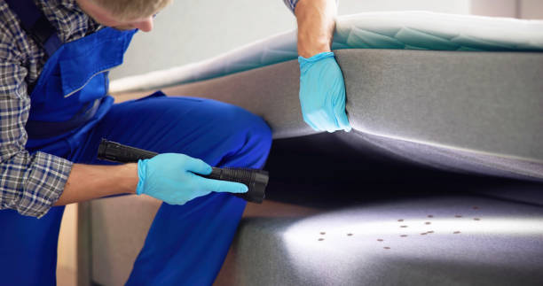 Best Ant Control Services  in Pleasureville, PA