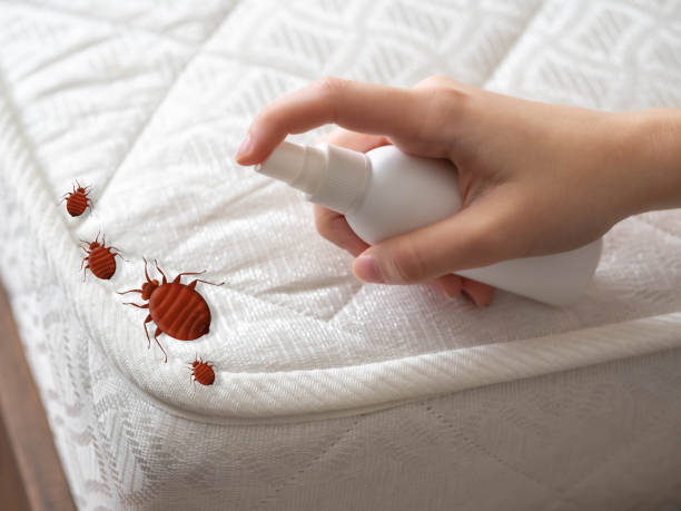 Best Pest Removal Services  in Pleasureville, PA