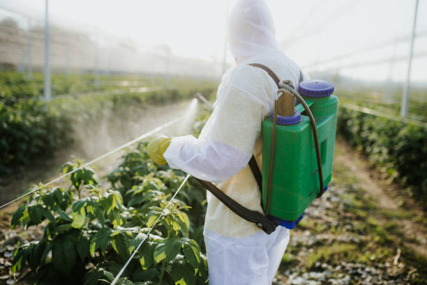Reliable Pleasureville, PA Pest Control Solutions
